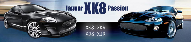 Jaguar XK8 passion