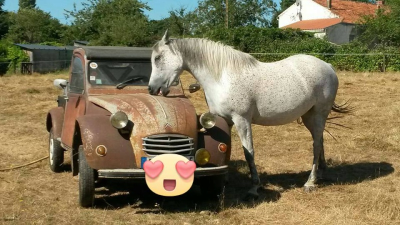 2cv rencontre salbris