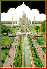 taj taj