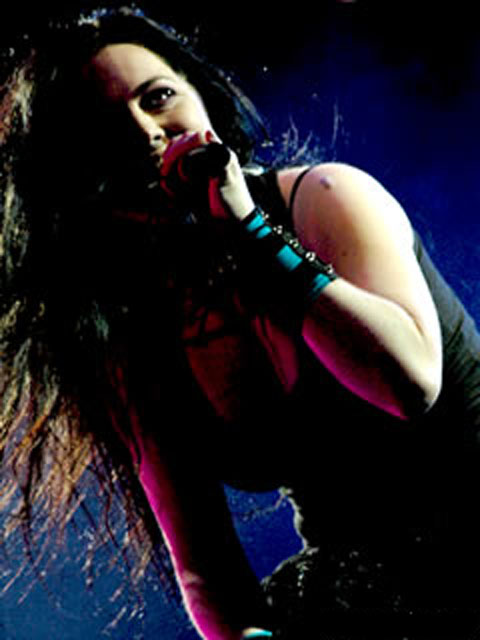 Evanescence Live In Santiago De Chile preview 1