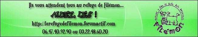 le forum de filemon à Amiens