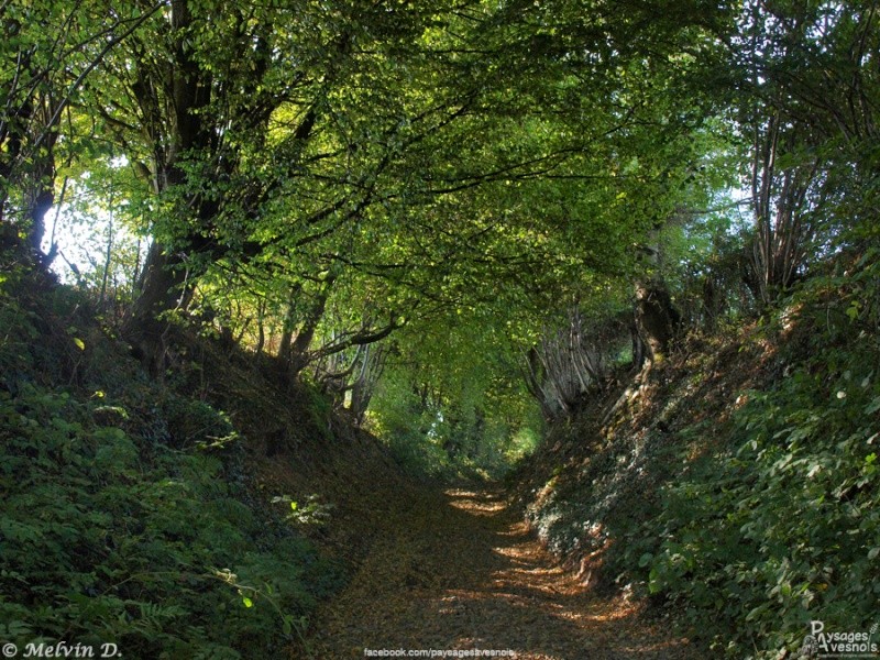 Image hébergée par servimg.com