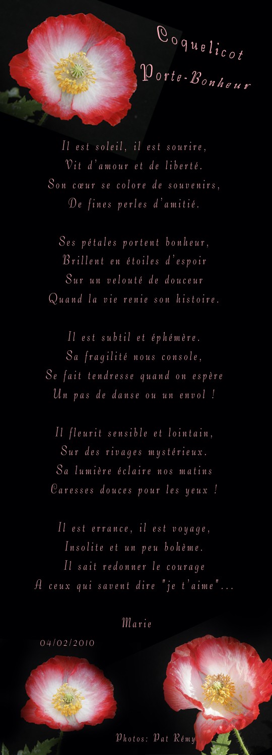 Au pays des images et des mots Poème Coquelicot portebonheur
