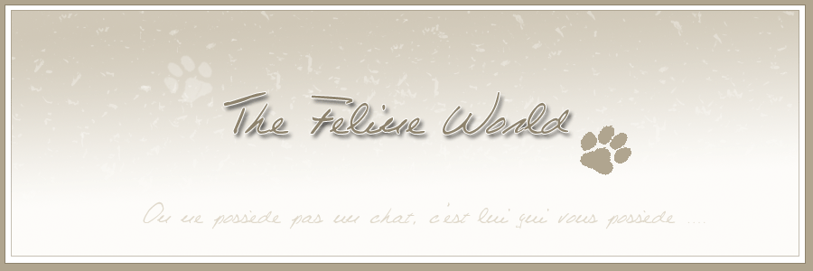 The Feline World