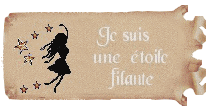 ancien-ne ancien-ne