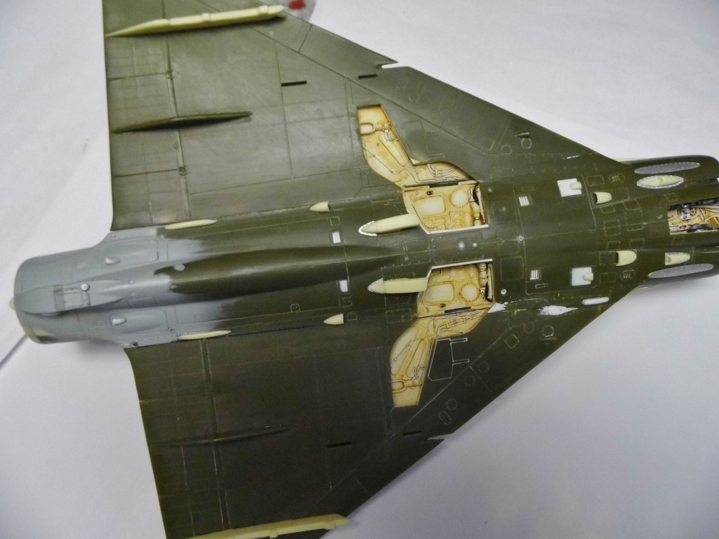 f4011.jpg
