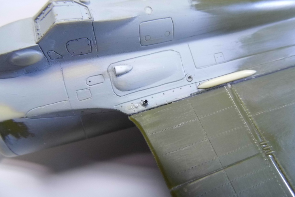 f4211.jpg