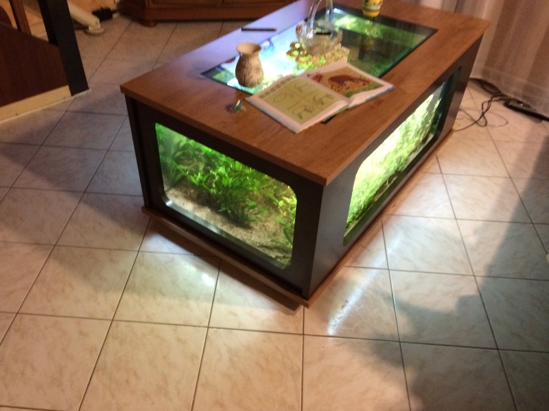 aquarium table basse