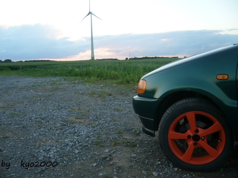 888_310.jpg