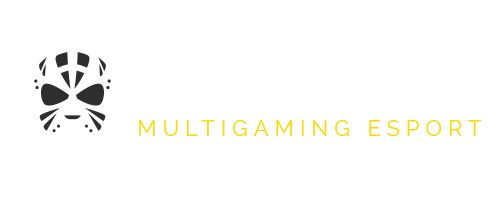 Warriors Esport