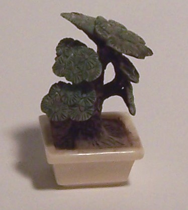 bonsai10.jpg