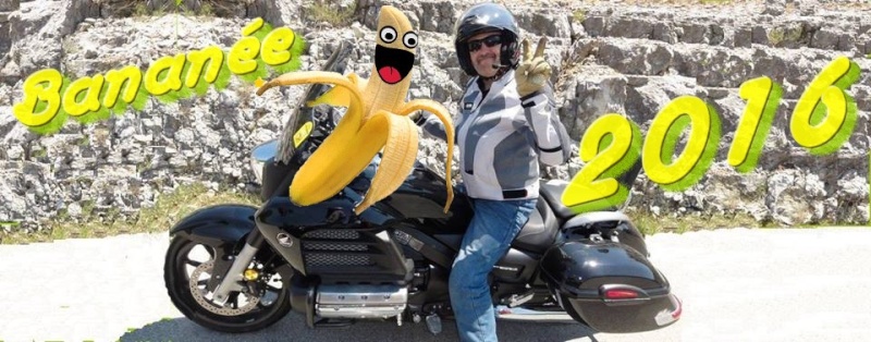 banany11.jpg