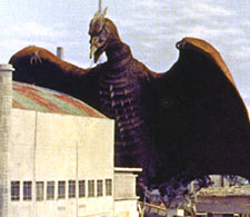 rodan_10.jpg