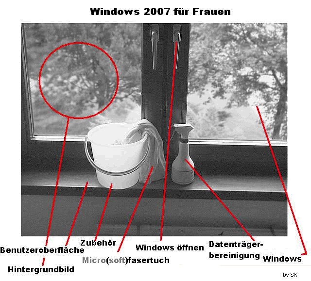 window10.jpg