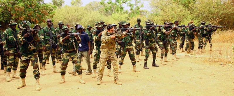 Armée Sénégalaise - Page 7