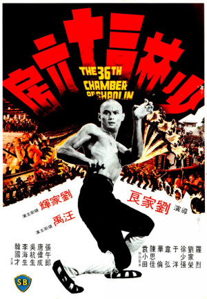 فيلم The 36th Chamber of Shaolin 1978 كامل