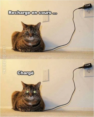 charge12.jpg