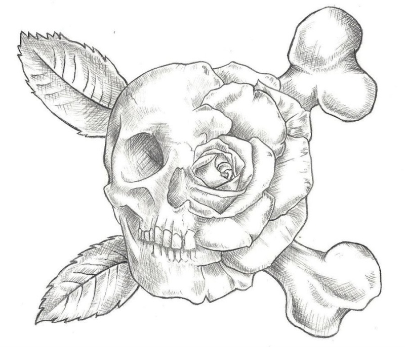skull_10.jpg