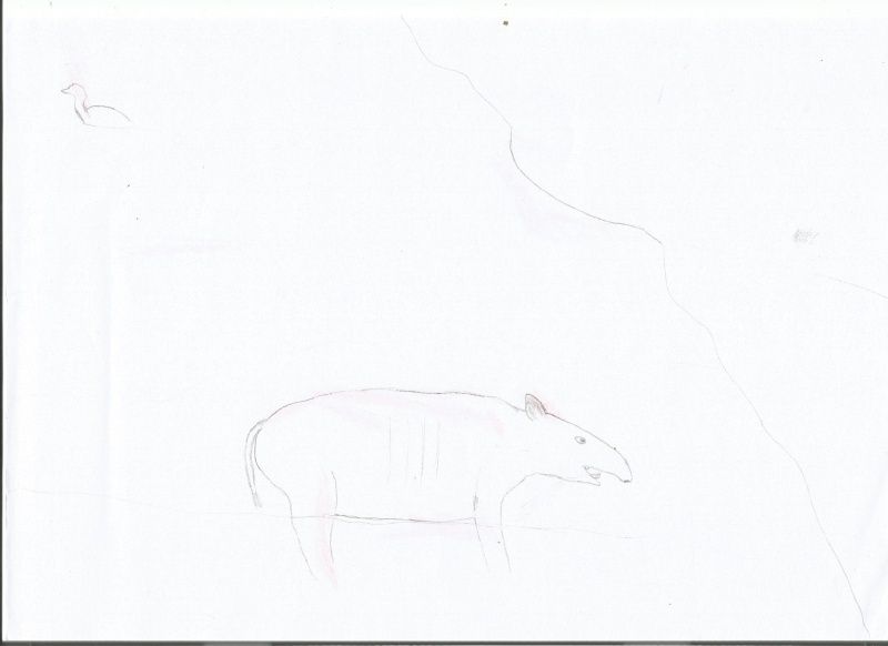 tapiro10.jpg