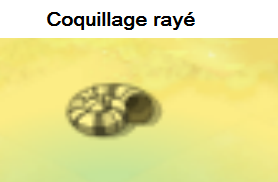 coquil10.png