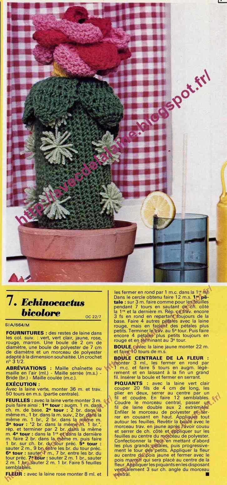 cactus14.jpg