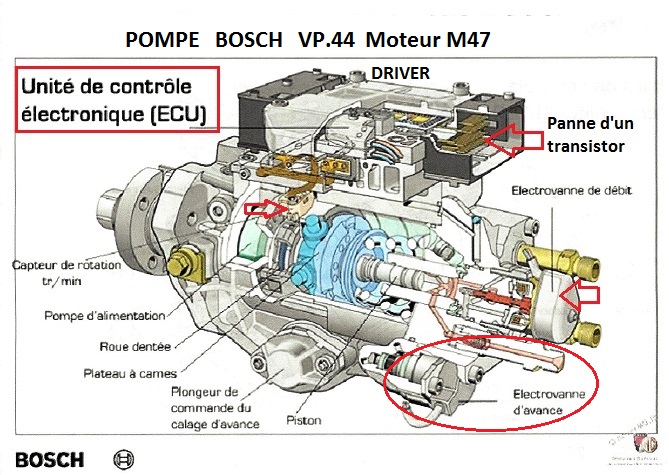 13_pom11.jpg