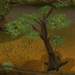 tree10.png
